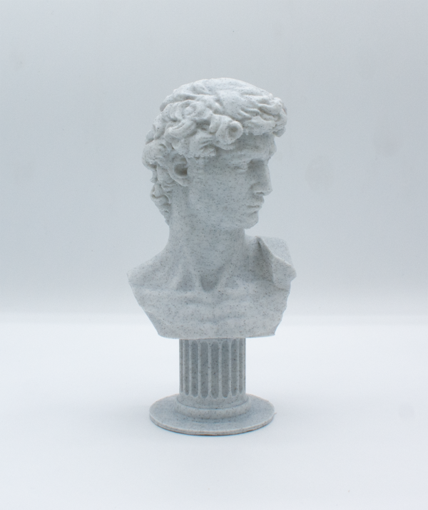 Statua Busto David 3D effetto marmo